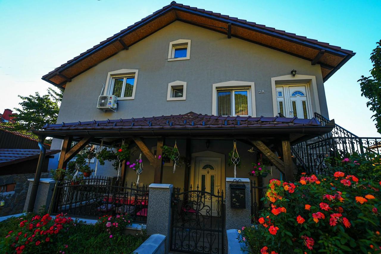 Villa Mokka House à Tekija  Extérieur photo